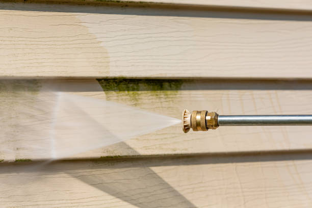 Best House Pressure Washing  in Rosepine, LA